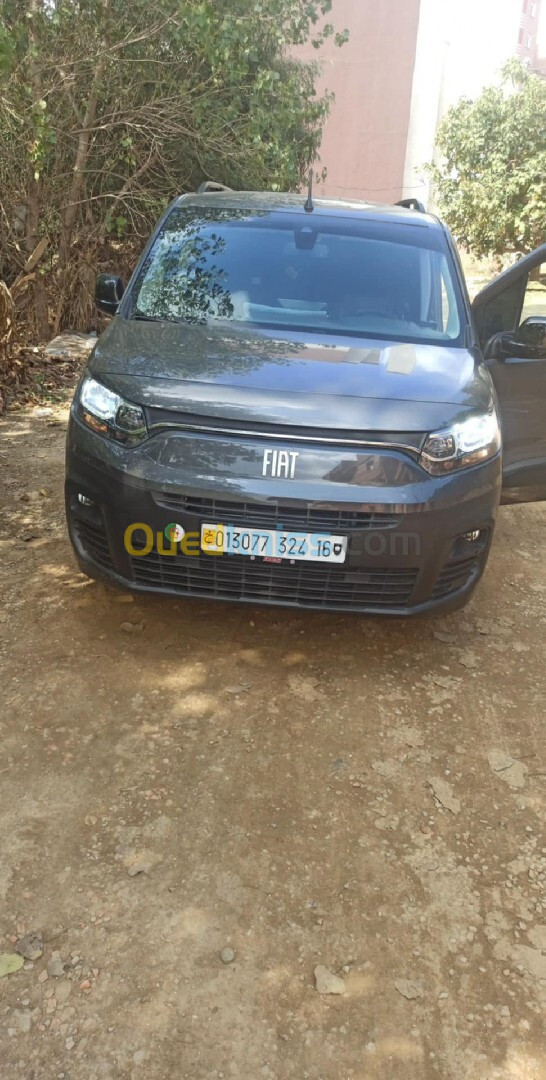 Fiat Doblo 2024 Professional