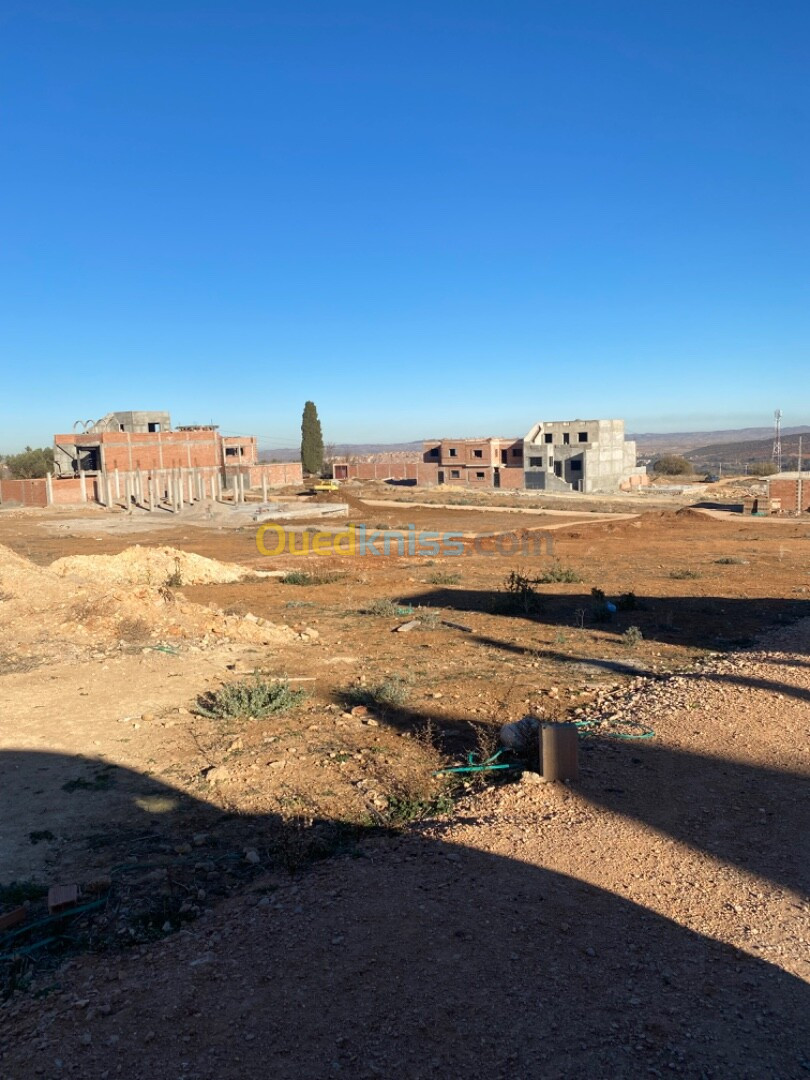 Vente Terrain Tlemcen Tlemcen