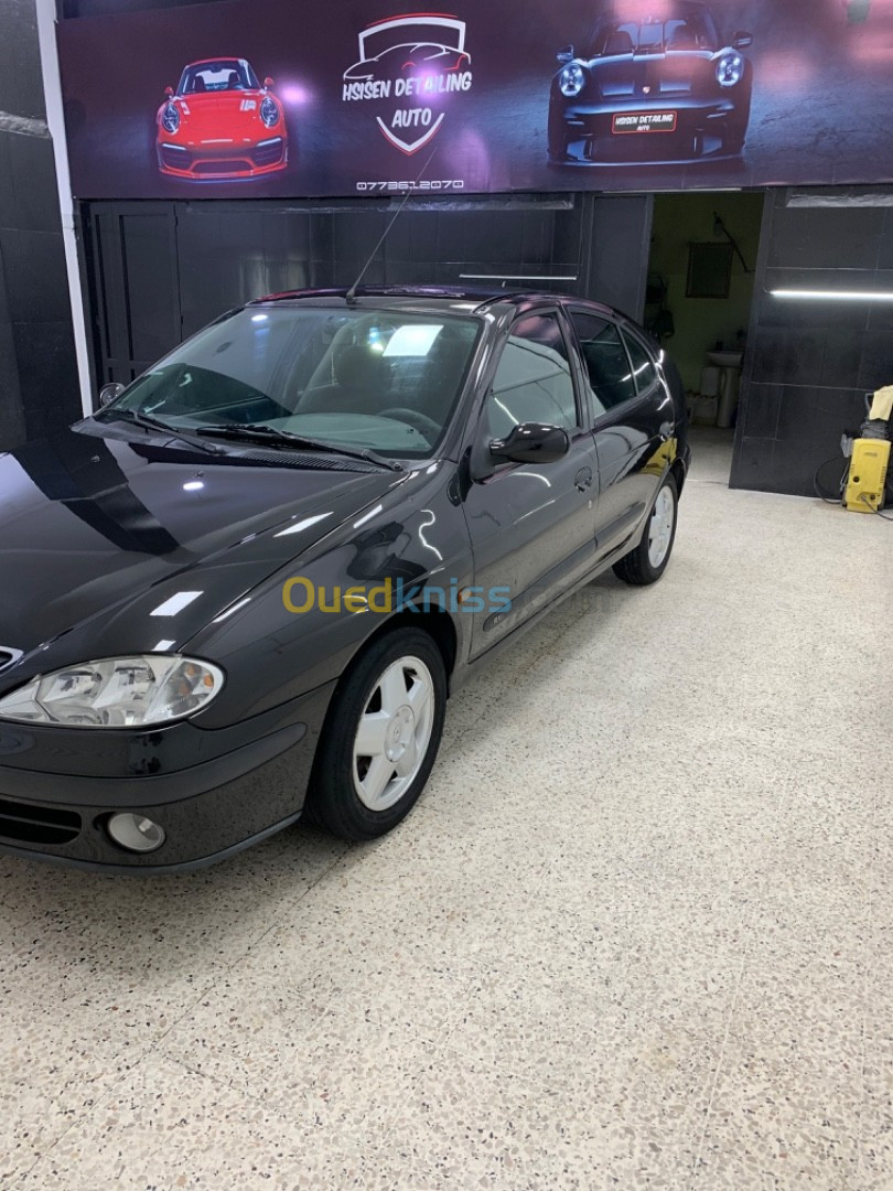 Renault Megane 1 1998 Megane 1