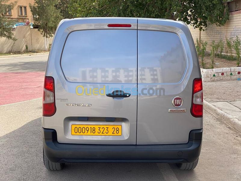 Fiat Doblo 2024 Professional