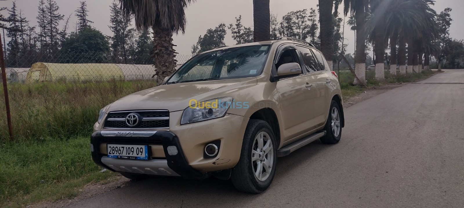 Toyota RAV4 2009 RAV4