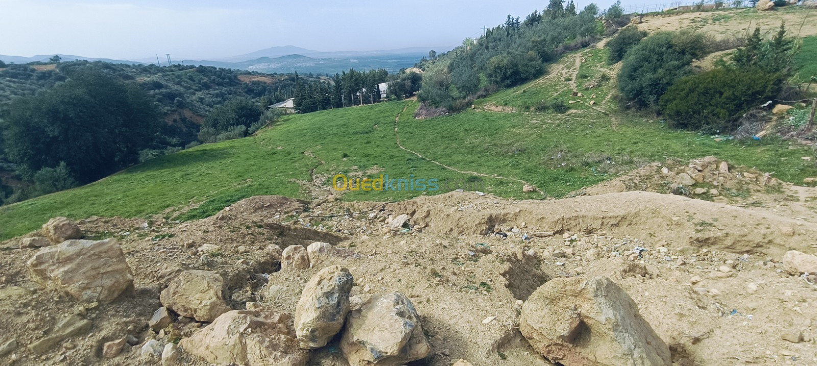 Vente Terrain Blida Mouzaia