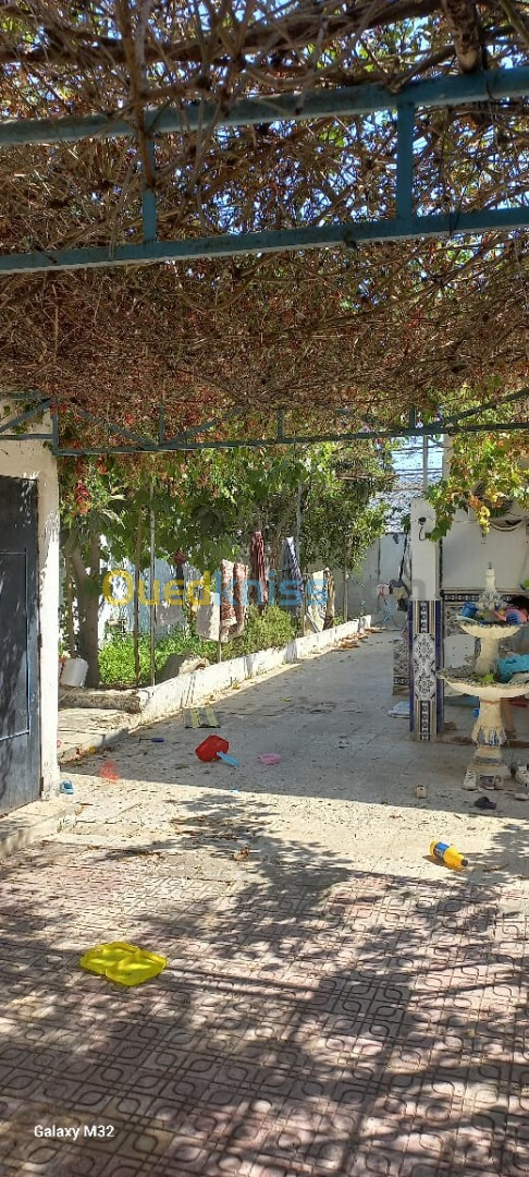 Vente Villa El Tarf Ben mehdi