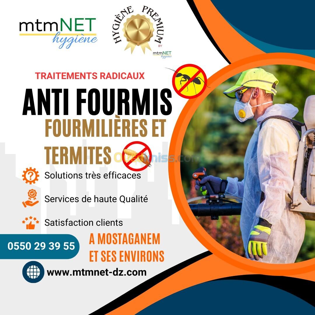 Solutions radicales anti fourmis et termites à mostaganem 