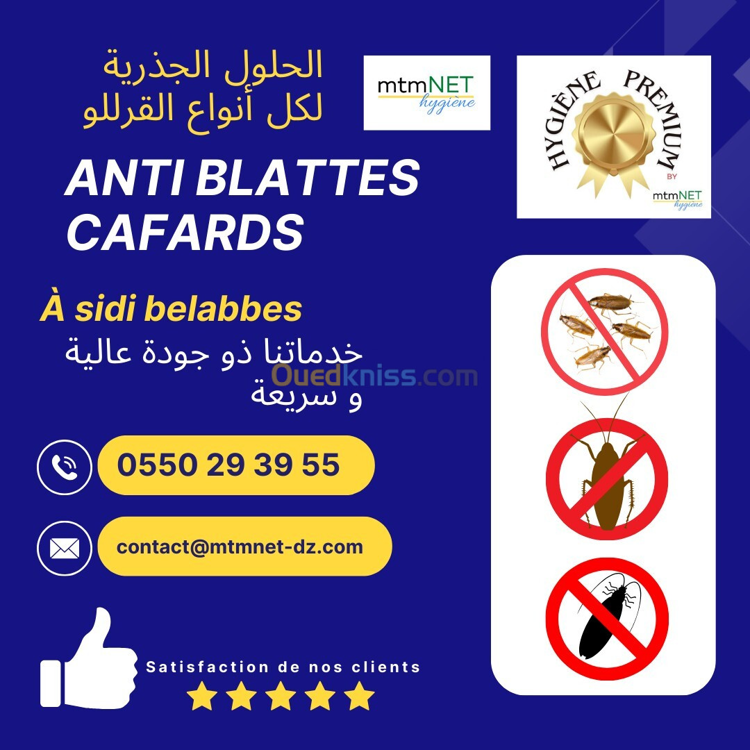 Société anti cafards sidi belabess 