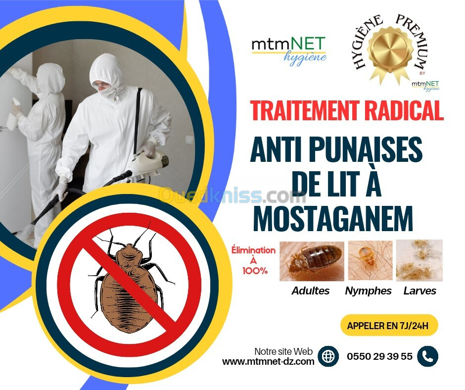 Traitement radical anti punaises de lit à mostaganem 