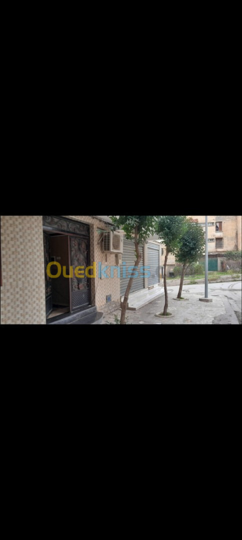 Vente Appartement F6 Sétif Setif