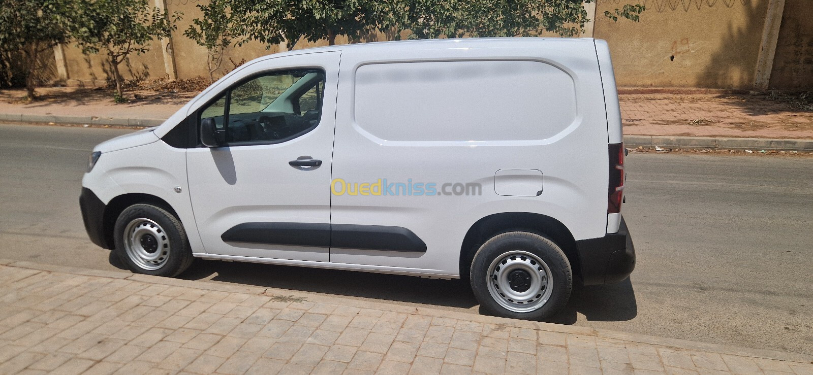 Fiat Professional Doblo 2024 Dz