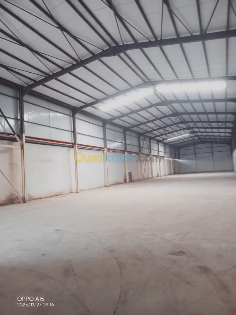 Location Hangar Blida Boufarik