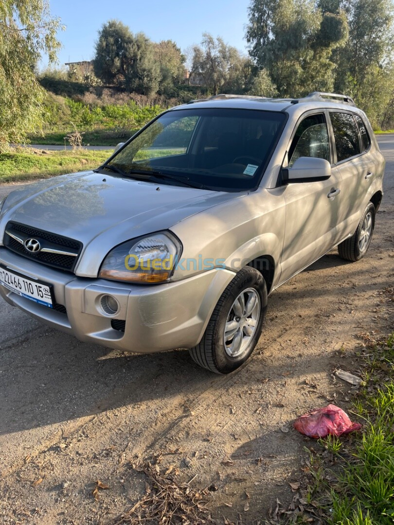 Hyundai Tucson 2010 Tucson