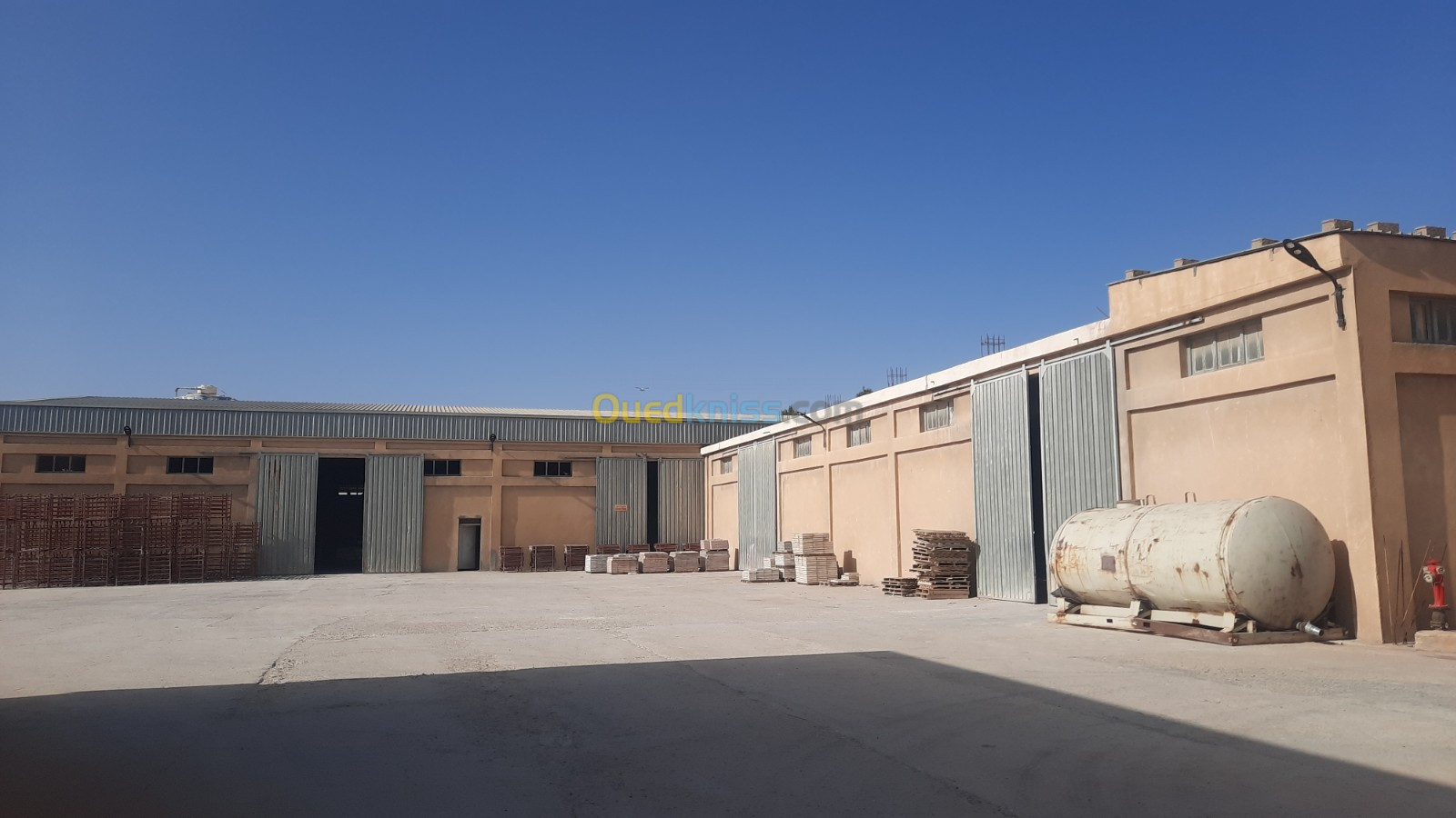 Location Hangar Setif Setif