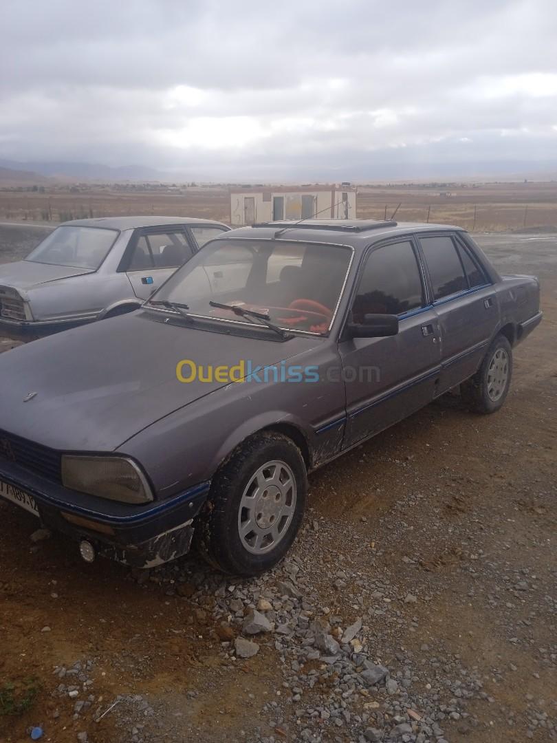 Peugeot 505 1989 505
