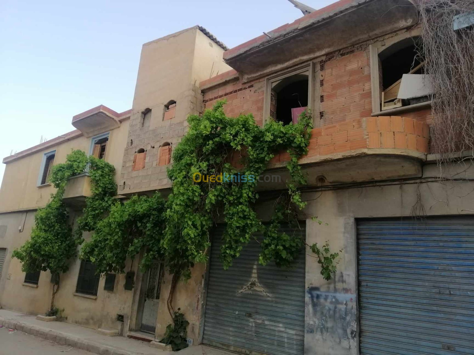 Vente Villa Sétif Mezloug