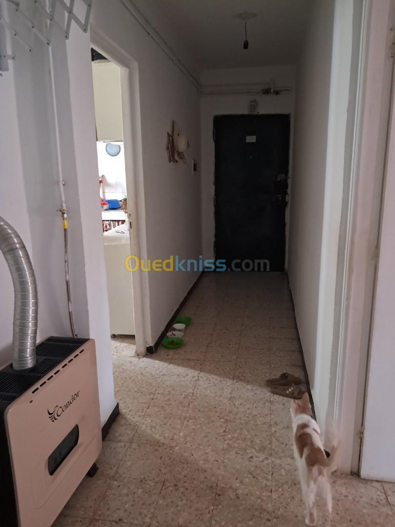 Vente Appartement F3 Alger Birtouta