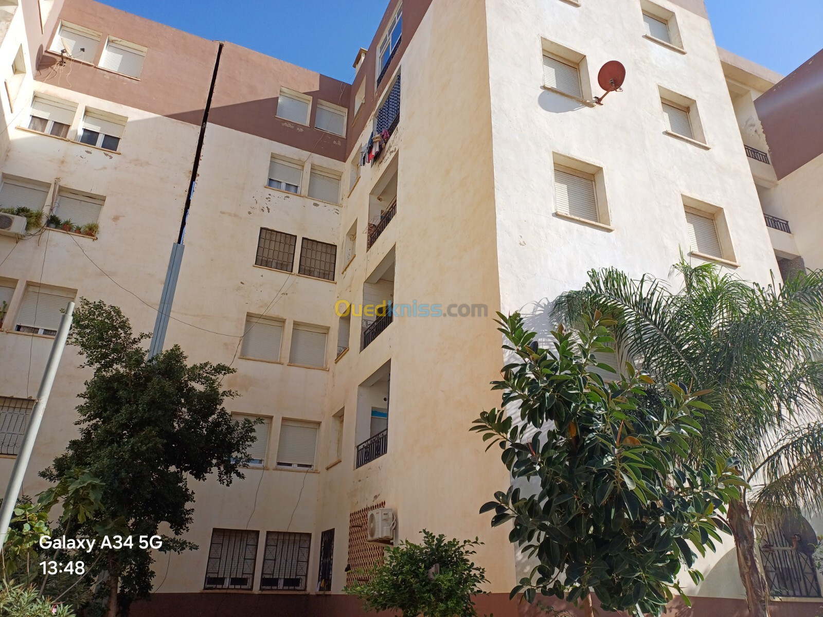 Location Appartement Blida Bouinan