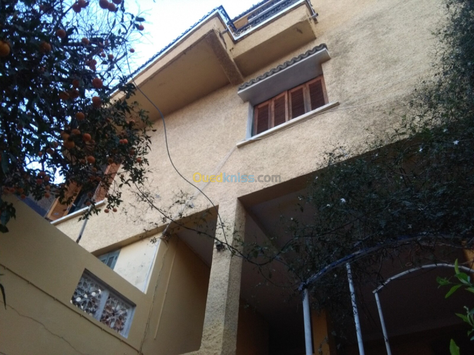 Vente Villa Alger El mouradia