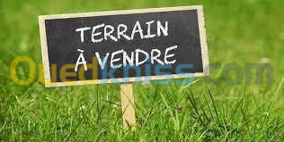 Vente Terrain Tizi Ouzou Timizart