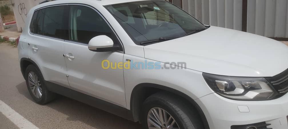 Volkswagen Tiguan 2014 Cup