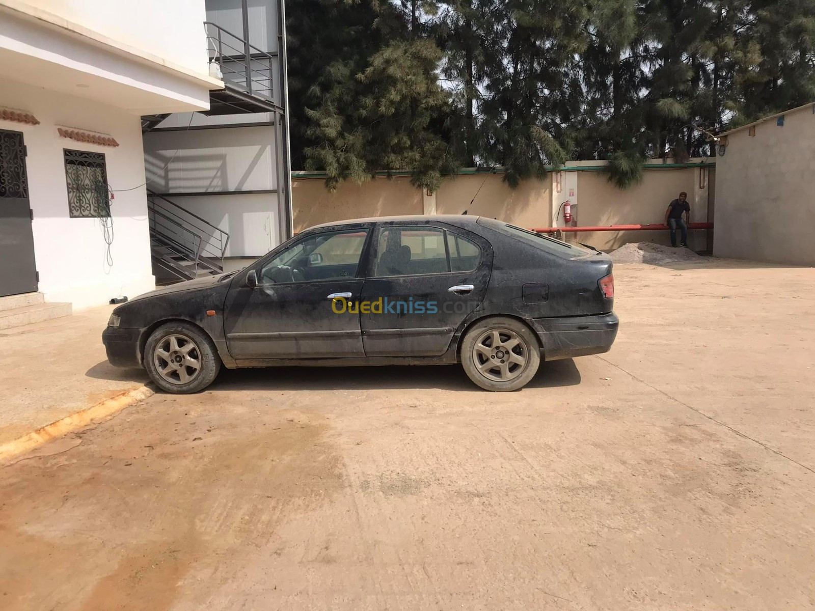 Nissan Primera 1999 Primera