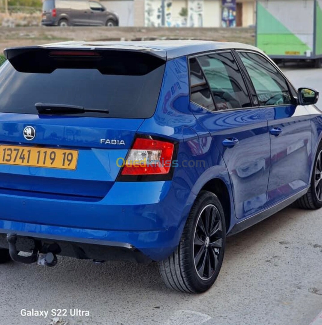 Skoda Fabia 2019 Monte Carlo