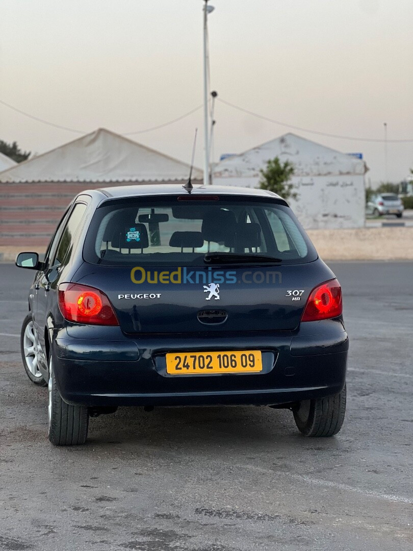 Peugeot 307 2006 Oxygo