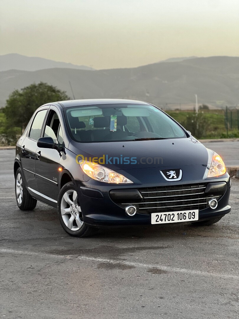 Peugeot 307 2006 Oxygo