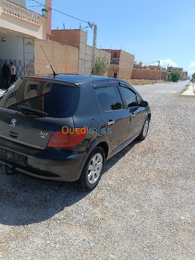 Peugeot 307 2004 XT