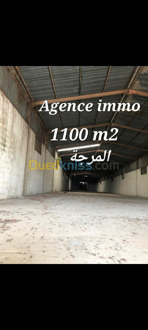 Vente Hangar Alger Dar el beida