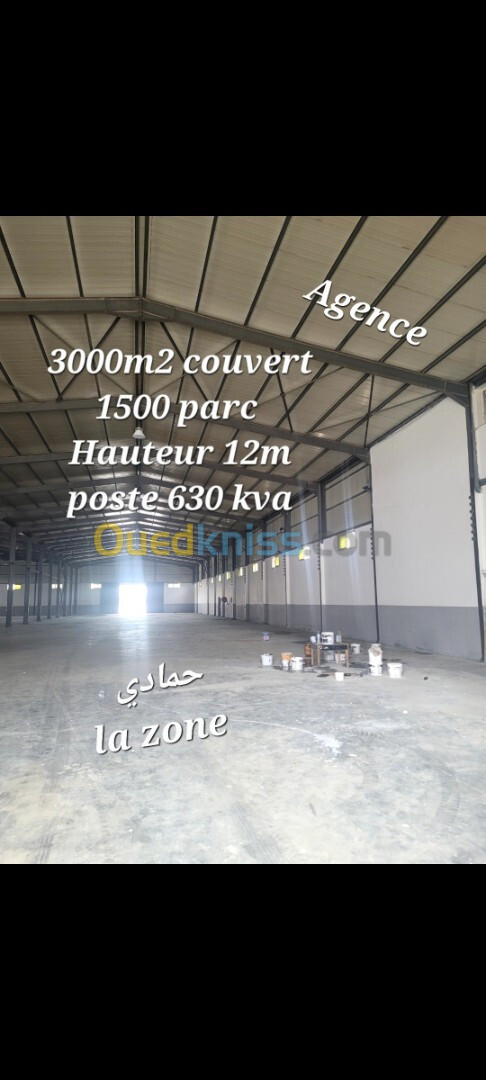 Location Hangar Boumerdès Hammedi