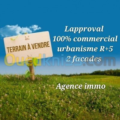 Vente Terrain Alger Kouba