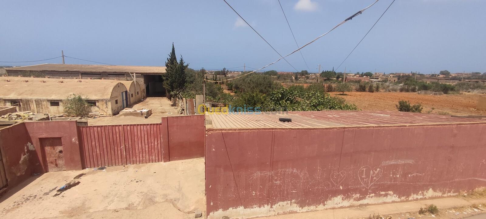 Vente Villa Mostaganem Sidi lakhdaara