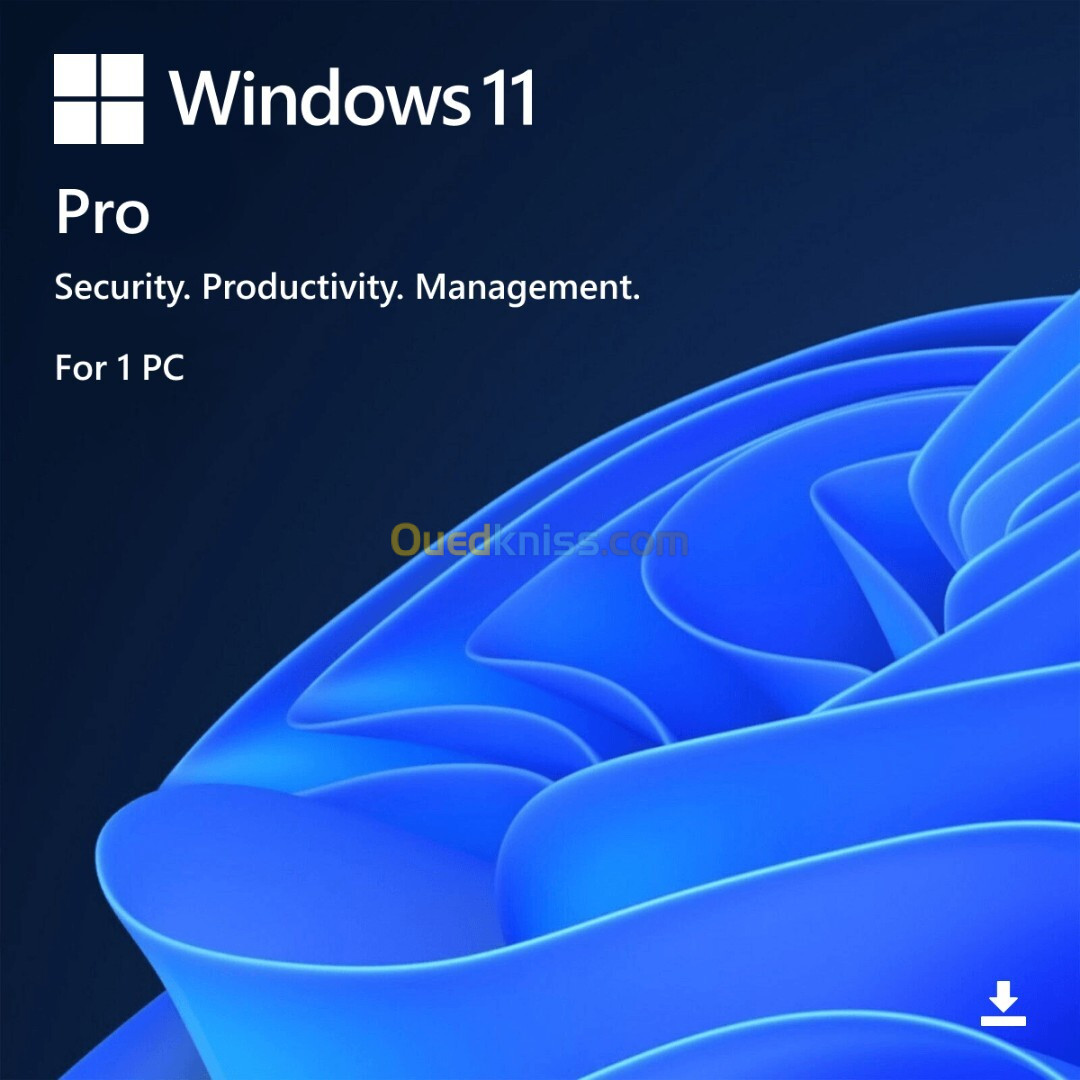 Clés Windows 11 Pro à vie