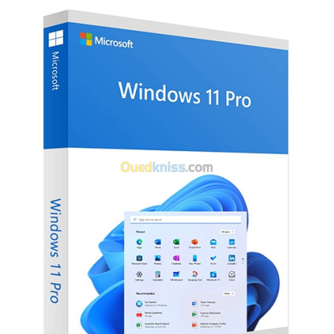 Windows 11 Pro officiel