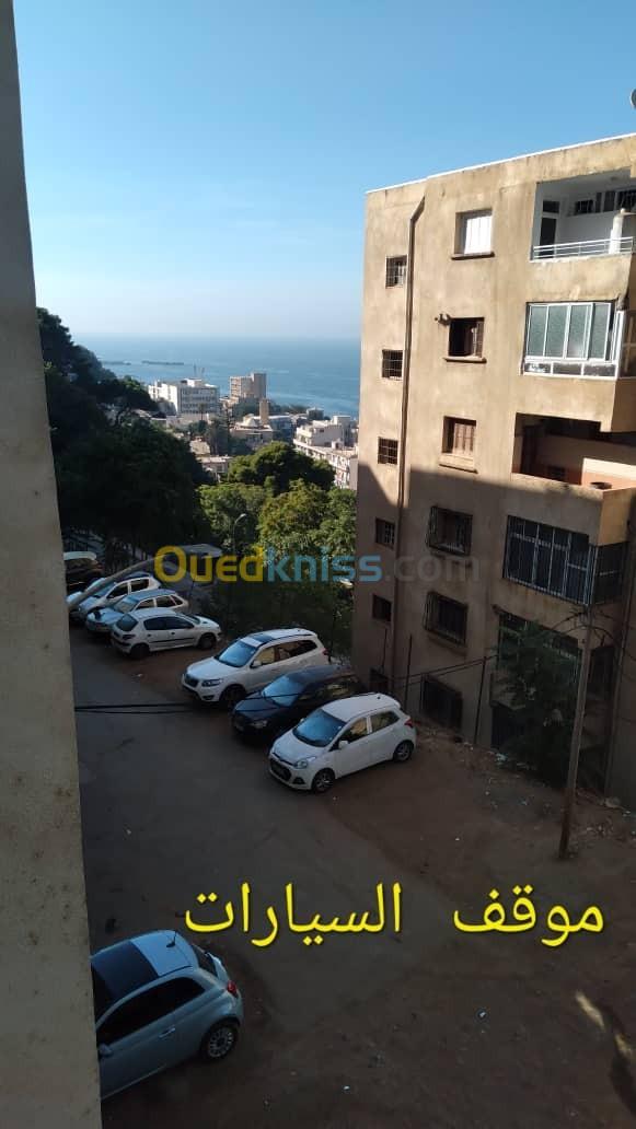 Location Appartement F4 Alger Bologhine