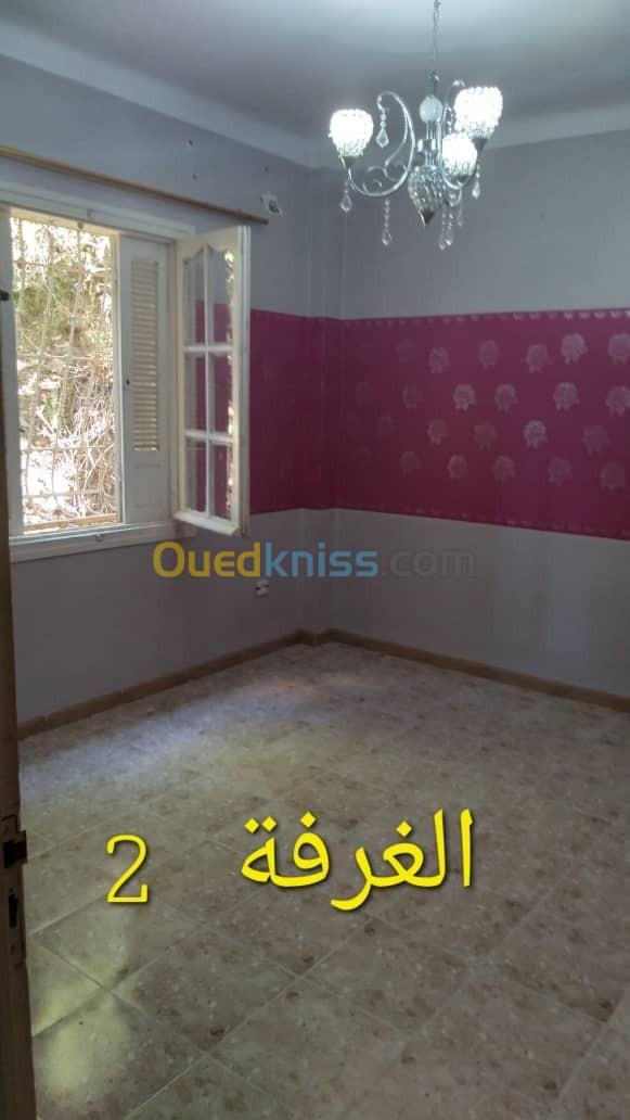 Location Appartement F4 Alger Bologhine