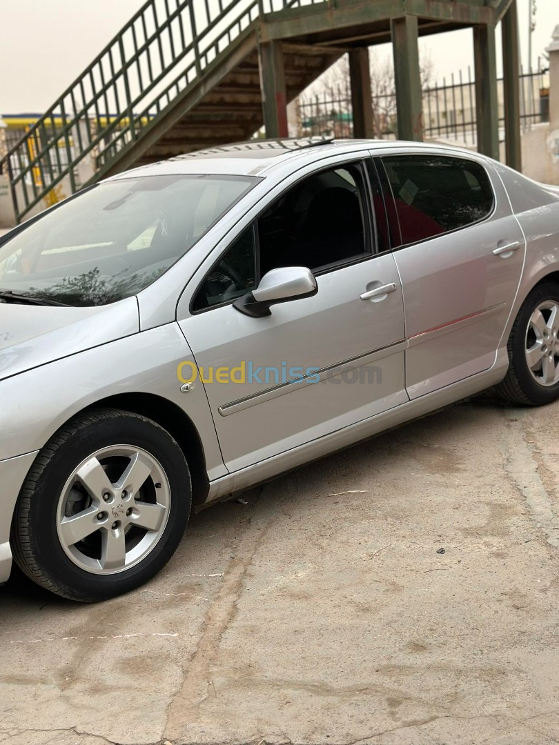 Peugeot 407 2010 407