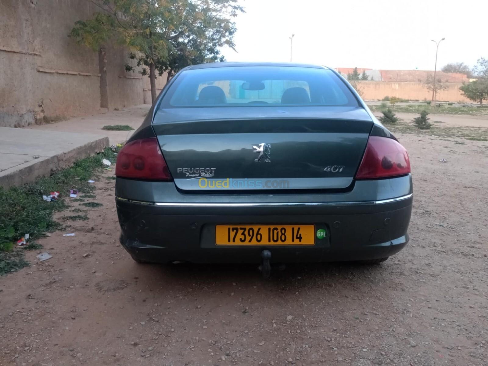 Peugeot 407 2008 407