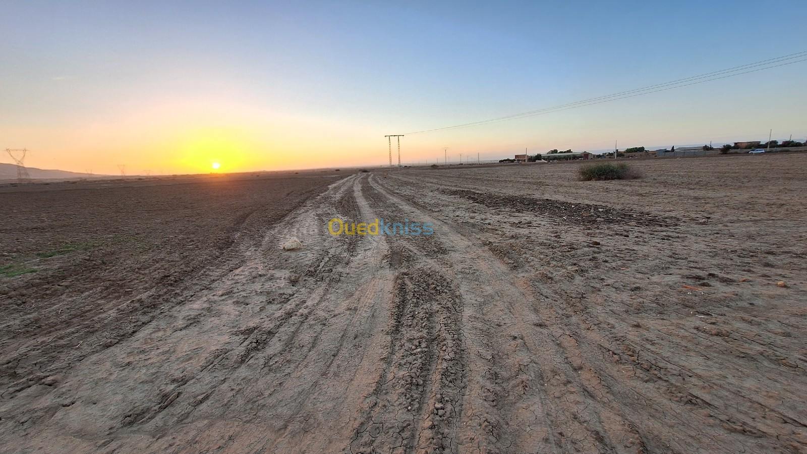 Vente Terrain Agricole Oran Tafraoui