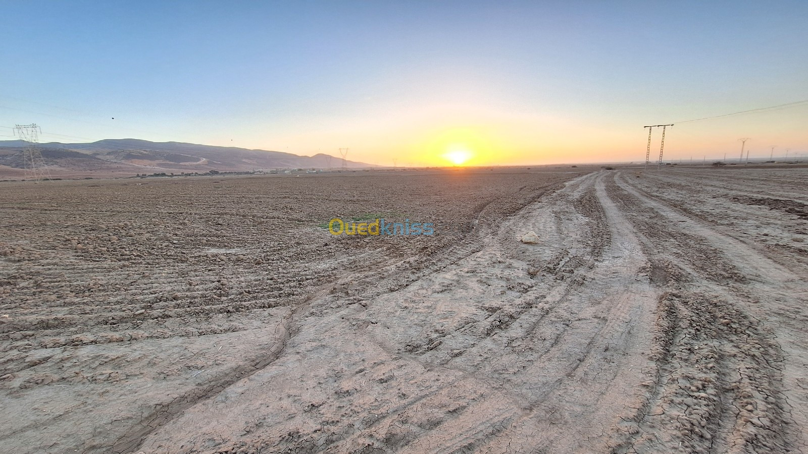 Vente Terrain Agricole Oran Tafraoui