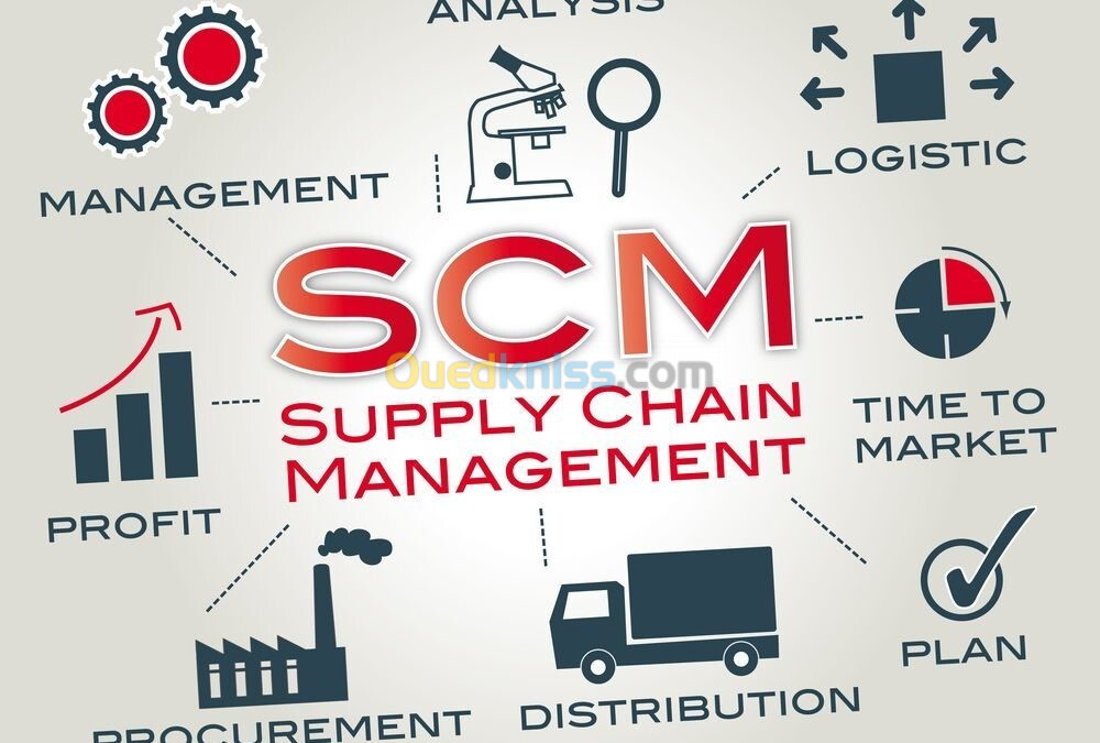 Management de la Supply Chain SCM