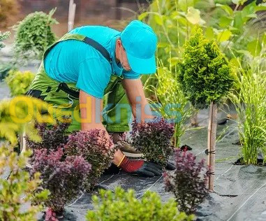 Société de nettoyage jardinage et aménagement des espaces verts