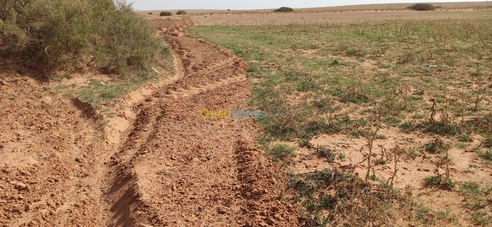 Vente Terrain Agricole Djelfa Ain oussara