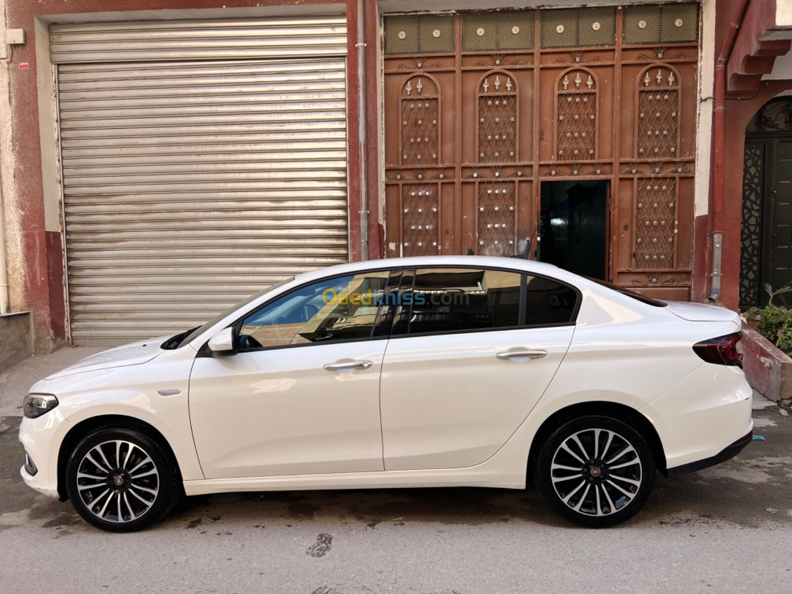 Fiat Tipo 2023 Live