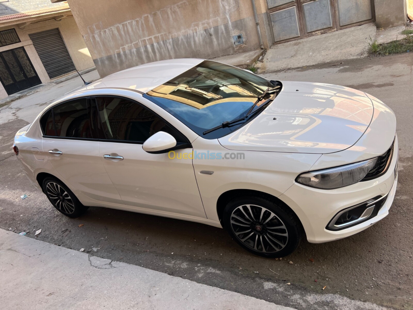 Fiat Tipo 2023 Live