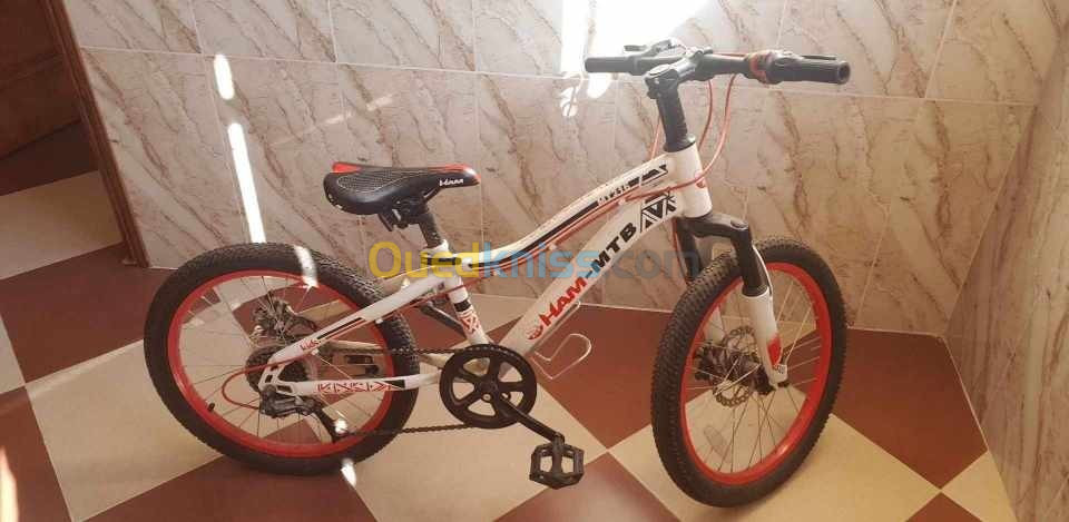 2 Vélos à vendre 