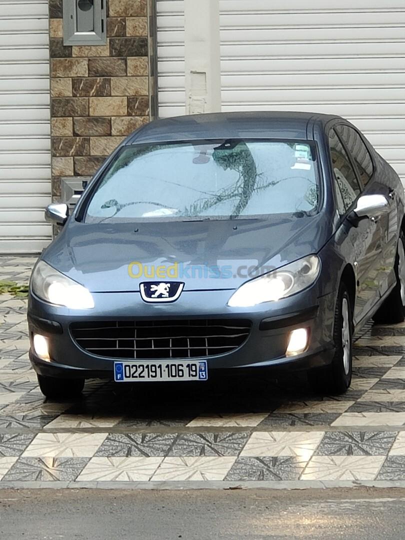 Peugeot 407 2006 407