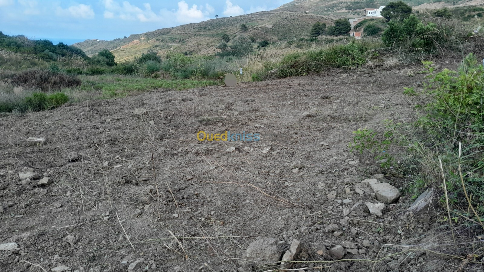 Vente Terrain Tizi Ouzou Azeffoun