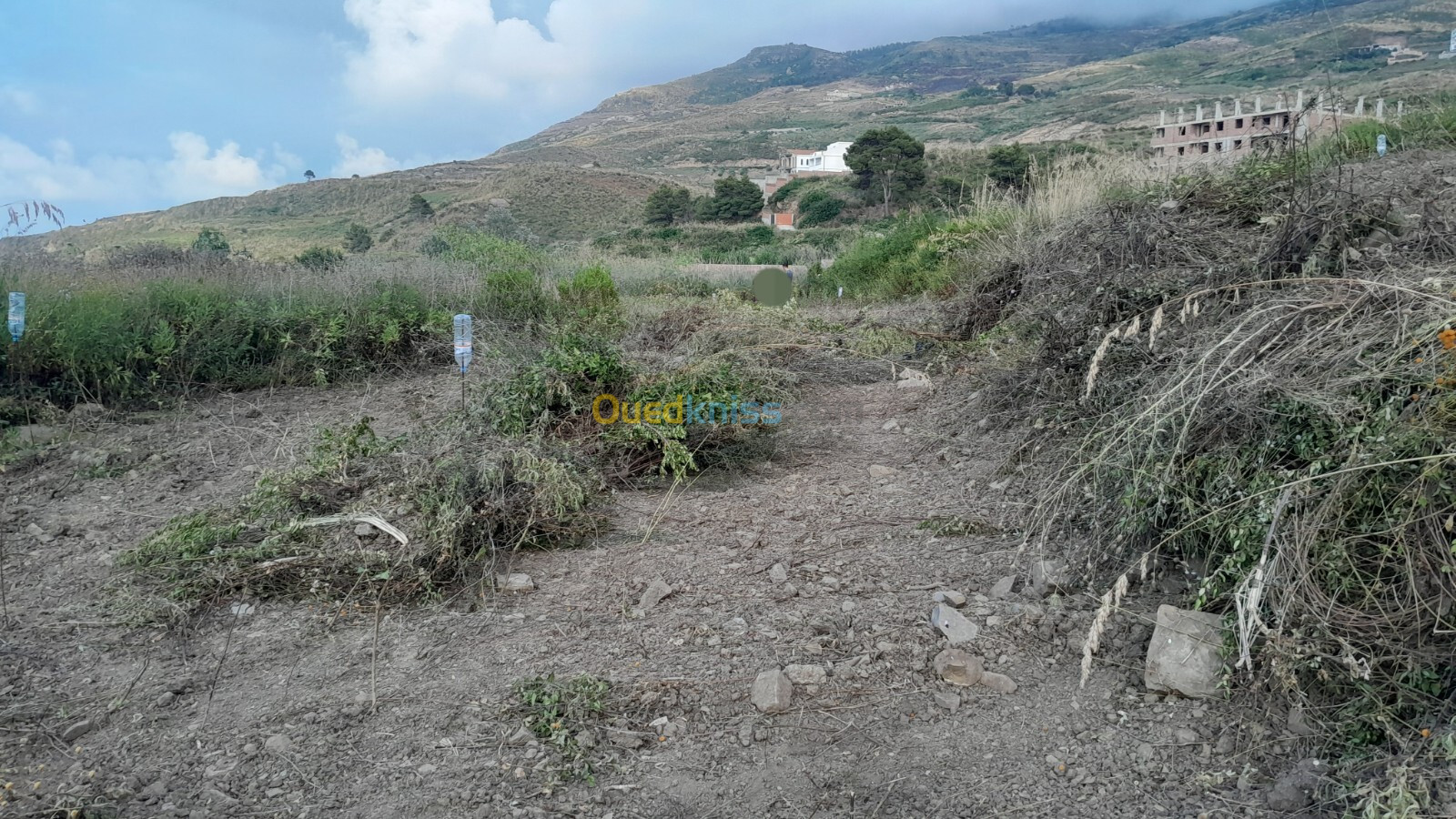 Vente Terrain Tizi Ouzou Azeffoun