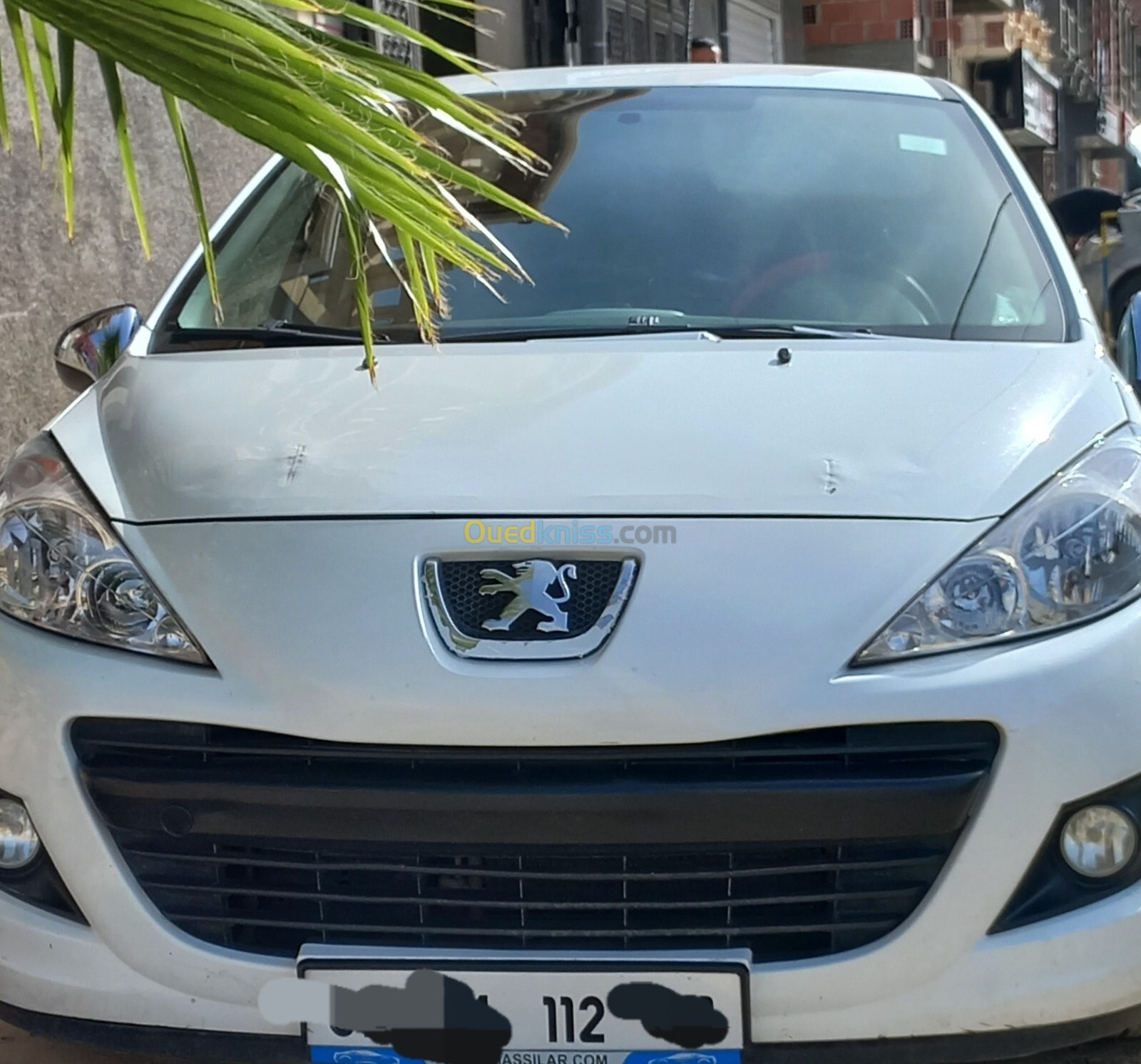 Peugeot 207 2012 Fennec