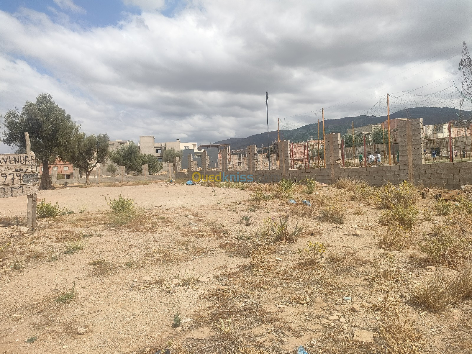 Vente Terrain Tlemcen Tlemcen